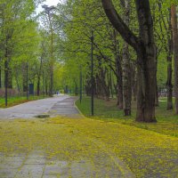 Московские Пейзажи :: юрий поляков