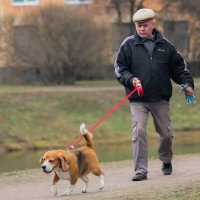 Выгулить :: Роман Алексеев