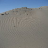 Песок :: Anna Ivanova