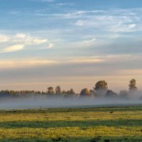 Краски майского утра :: Валерий Иванович