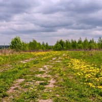 По дороге с одуванчиками :: Валерий Иванович