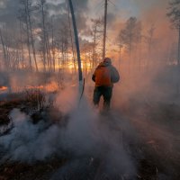 Не жгите сухую траву! :: Игорь В. Капустин