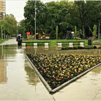 Дождь. :: Валерия Комова