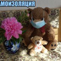 Из жизни медведей на самоизоляции :) :: Nina Yudicheva