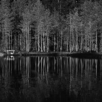 Озеро в лесу :: Юлия Никитина