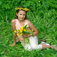 Одуванчики цветы ослепительно желты! :: Дмитрий Конев