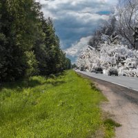 Между летом и зимой... :: Владимир Безбородов