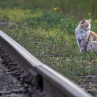 По ту сторону  ... :: Евгений Хвальчев