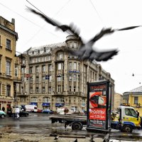 Дождливый питерский вечер... :: Сергей Дружаев