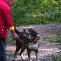 "Я уже пять раз погулял! Хочу домой!" :: Владимир Безбородов