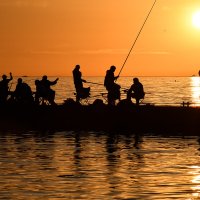 Рыбалка на закате :: Денис Тар