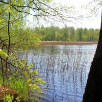 У воды :: Милагрос Экспосито