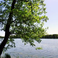 На озере Инышко :: Oksana ***