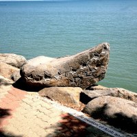 вот такими резными камнями украшен берег озера Кинерет. кому-то же это нужно? :: сашка ярмарков