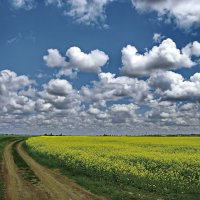 По дороге с облаками . :: Анатолий Святой 