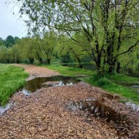 Но ждем настоящего лета :: Андрей Лукьянов