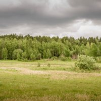 Последний день весны :: Вадим Басов