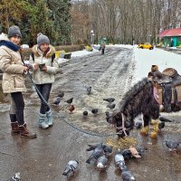 надо перекусить... :: юрий иванов