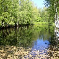 Последний день весны :: Наталья Герасимова