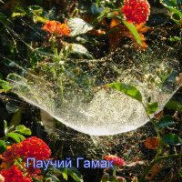 Дом и ловушка паука. :: Валерьян Запорожченко