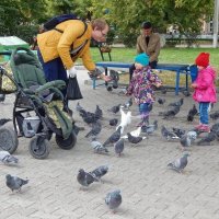 Девочки, это гулюшки! :) :: Елена Хайдукова  ( Elena Fly )