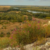 Природный Парк Донской. :: Олег Рыбалко