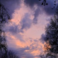 Фиолетовое небо :: Romanishka Okat'ev