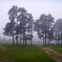 Утренний осенний туман :: Владимир 