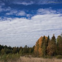 Моя Вологодчина :: Борис Устюжанин