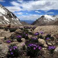 Цветущий Перевал (Tibet Mountains pass) :: Roman Mordashev