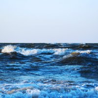 Море Азовское :: Светлана Кузина