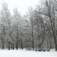 серебрянный сон :: Виталий Бидюк