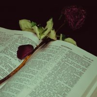 Роза и Библия :: Пётр(Флайсмит) Майер
