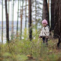 в лесу :: Сильвия Михеева