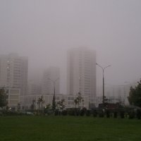 За туманом,за туманом... :: Ирина Wonderland