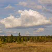 облако :: Юрий Стародубцев