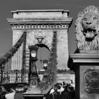 Венгрия. Будапешт. Цепной мост со львами. :: Алексей Матвеев