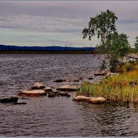 Камни в озере. :: Александр Максименко