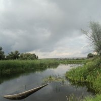Глубока река... :: Ольга Кривых