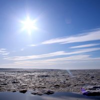 Финский залив весной :: Денис Бугров