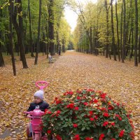 Осень в Ильичево. :: Надежда Судакова