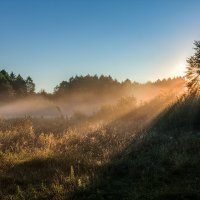 Утренний прожектор :: Владимир Костылев