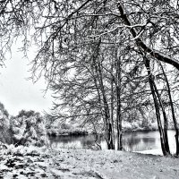 Зима :: Татьяна Егорченко