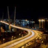 Мост через Золотой Рог.Владивосток. :: Валерий Гончаров