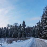 Зимняя дорога. :: Владимир Безбородов