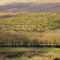 там вдали :: РозаВетроф 