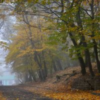 Осенний променад....... :: Юрий Цыплятников