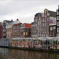 Цветочный рынок в Амстердаме :: Нина Синица