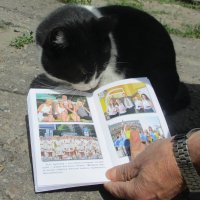 Как выбрать книгу для кота, чтобы он прожил не семь а сто жизней?? :: Alex Aro Aro Алексей Арошенко