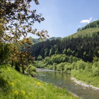 День в Карпатах :: Александр Крупский